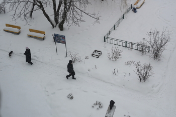 &nbsp; / январь