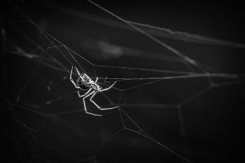 Хрустальный / ***