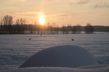 Встретились как-то двое / ***