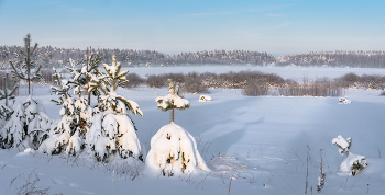 Начинается день. Воронино. / Январские прогулки