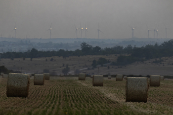 Пыльный вечер в июле / ***