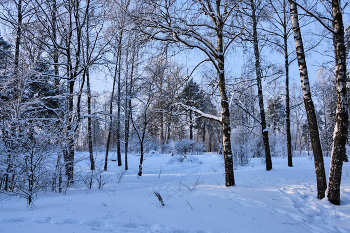 Зимний день 4 / ***