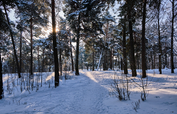 Зимний день 5 / ***