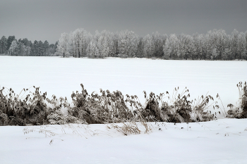 А за городом зима... / зима, поле, лес, природа