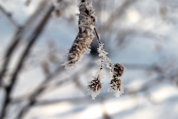 морозно / ***