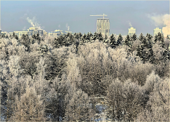 Живём в заколдованном этом краю / Обнинск 25 января 2026 года