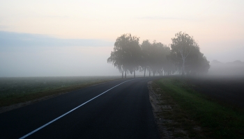 Утренний путь / ***