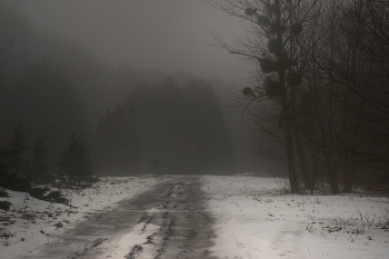 Туманное утро / Зима
