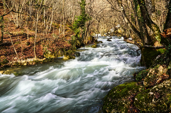 &nbsp; / Крым. Кизилкобинское ущелье. Январь