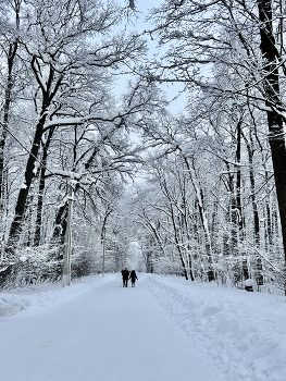 Зима в Пензе / ***
