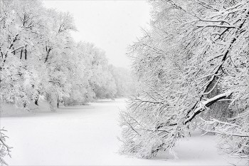 Кружева... / ... на Щучьем пруду.