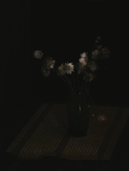 прошдлогодний прошлолет / ***