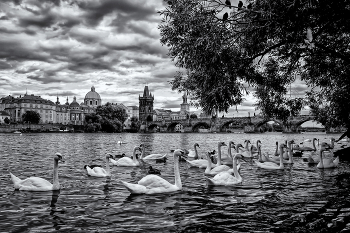 Прага / Городские зарисовки