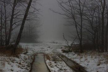 Туман / Зимнняя оттепель