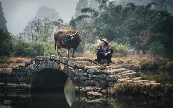 Антракт / Персонаж, не менее фотогеничный, чем пресловутый старик с бакланом :)
Китай, окрестности Гуйлиня.
Декабрь 2025г.
(С) https://phototravel.pro/phototravel2026/