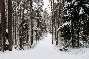 Подмосковье / Гжель