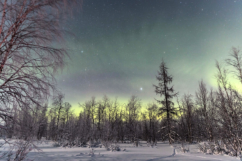 Томный вечер в лесу / Вчерашняя охота на сияние прошла результативно. Если просто смотреть на небо в моменте сияния, то кажется , что ничего не движется и ничего особенного не происходит. На самом деле мне вчера удалось запечатлеть редкий тип сияния , который открыли только 6 лет назад и называется он дюнами. Название дали из-за внешнего сходства с песчаными дюнами. Это сияние образуется на высоте около 100 км, когда волны атомов кислорода возбуждаются при взаимодействии с солнечным ветром, создавая светящуюся волну, похожую на дюну.
ЯНАО , г.Новый Уренгой, 25.01.26г