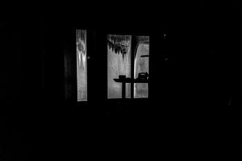 Жизнь вокруг / ***