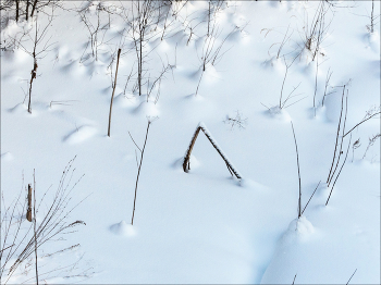 кочки зрения / могут быть разные
.
.
.
.
.
.
.
.
.
.
.
.
но правильная - одна моя!!