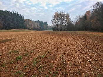 Вблизи зимы. / ***