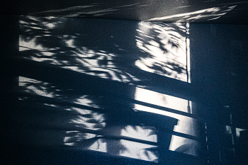 Бегущие тени / .....