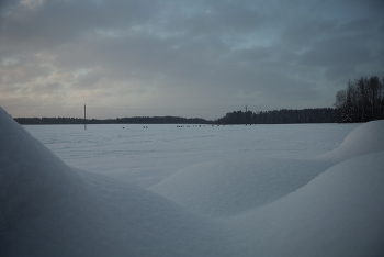 Вечерняя с косулями / ***