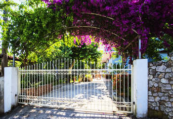 Солнечный дворик / Сюжеты лета