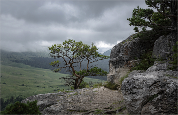 Выше облаков / Адыгея