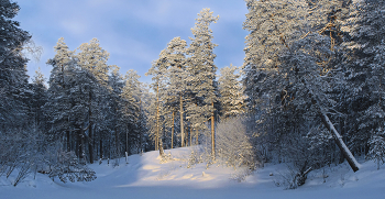 Увы, не греет солнышко зимой...) / ...