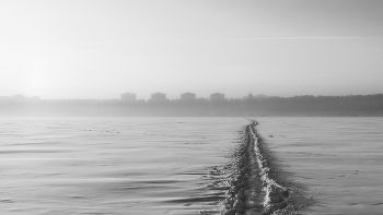 Туман как метафора жизни: всё неясно, но прекрасно. / ***