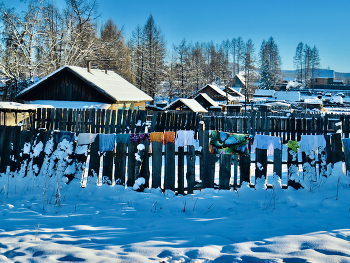 На заборе, под солнышком... / После постипушек. Посёлок Тоора-Хем. Тоджа, Тува (Тыва).

Сибирь, Россия.