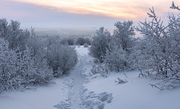 По проторенной дорожке / на сопках Мурманска