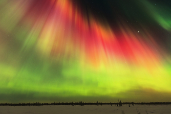 Крещенское сияние / В ночь с 19 на 20 января многие жители Земли могли наблюдать мощное северное сияние ярких красно-зеленых оттенков. Дело все в том, что на Солнце произошла вспышка X1.95, которая сопровождалась крупным выбросом плазмы, направленным точно на Землю. В результате вспышки 19 января начался сильнейший космический радиационный шторм уровня S4. Это произошло впервые за два солнечных цикла (около 22 лет). На фоне сильнейшего радиационного шторма на Земле начались магнитные бури, которые в пике достигли сильного уровня G4.7. Мне посчастливилось поснимать пик северного сияния, который выпал на время примерно полтретьего ночи. ЯНАО, г. Новый Уренгой. Больше моих работ и таймлапсов по ссылке вк https://vk.com/yachushko