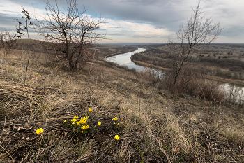 Адонис над рекой / ***