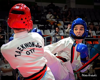 Tekvando / Фестиваль боевых искусств