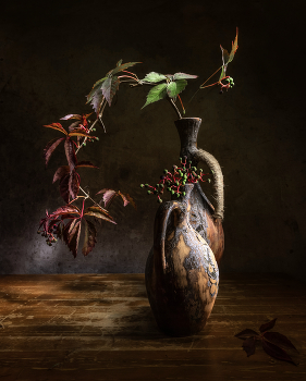 Девичий виноград / Девичий виноград