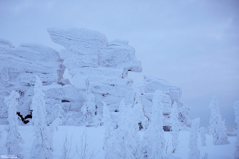 Красивый Шерегеш 2026 / Горы верблюды Шерегеш