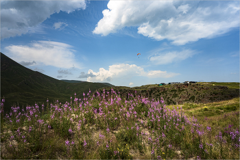 Кавказ / Кавказ
