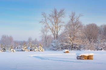 Тихое зимнее утро / Январские прогулки