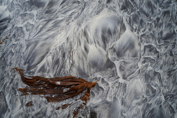 Из серии Песчаные вычуры / ***