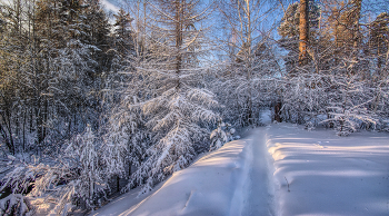 Тропинка / ***