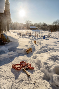 Жизнь вокруг / ***