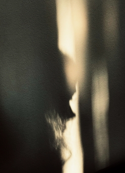 &nbsp; / январь