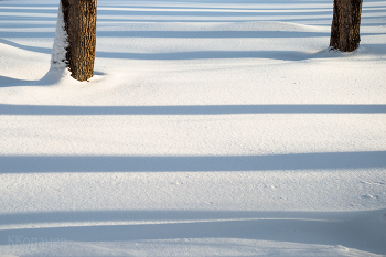 Линии теней / Январь