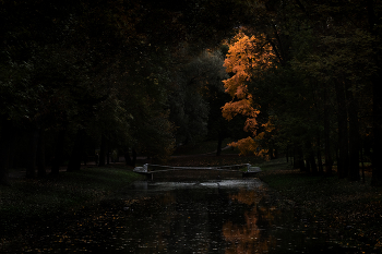 Мосты, мостики и мосточки 1 / ...