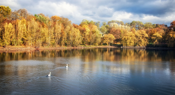 Осени картины / ***