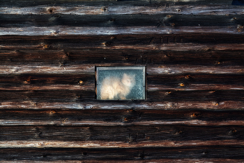 Жизнь вокруг / ***