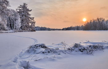 Зимний полдень... / гатчинский парк
