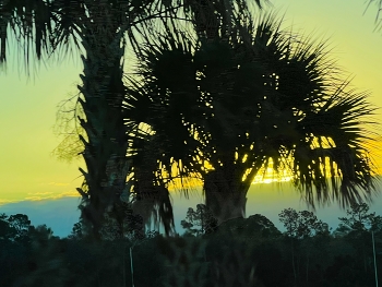 &nbsp; / Early morning in Florida