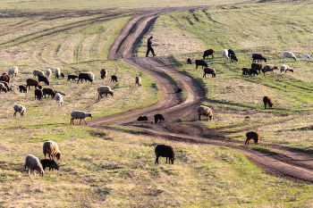 На свежей траве / ***